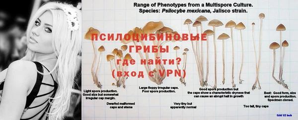 кристаллы Бронницы